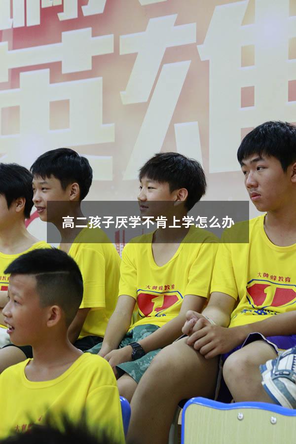 高二孩子厌学不肯上学怎么办（高二孩子厌学不肯上学怎么办呢）