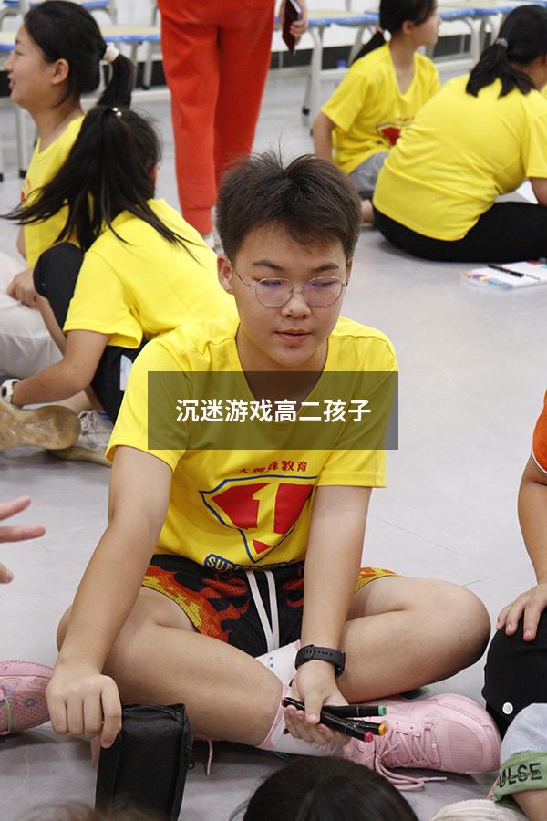 沉迷游戏高二孩子（沉迷游戏高二孩子的心理）