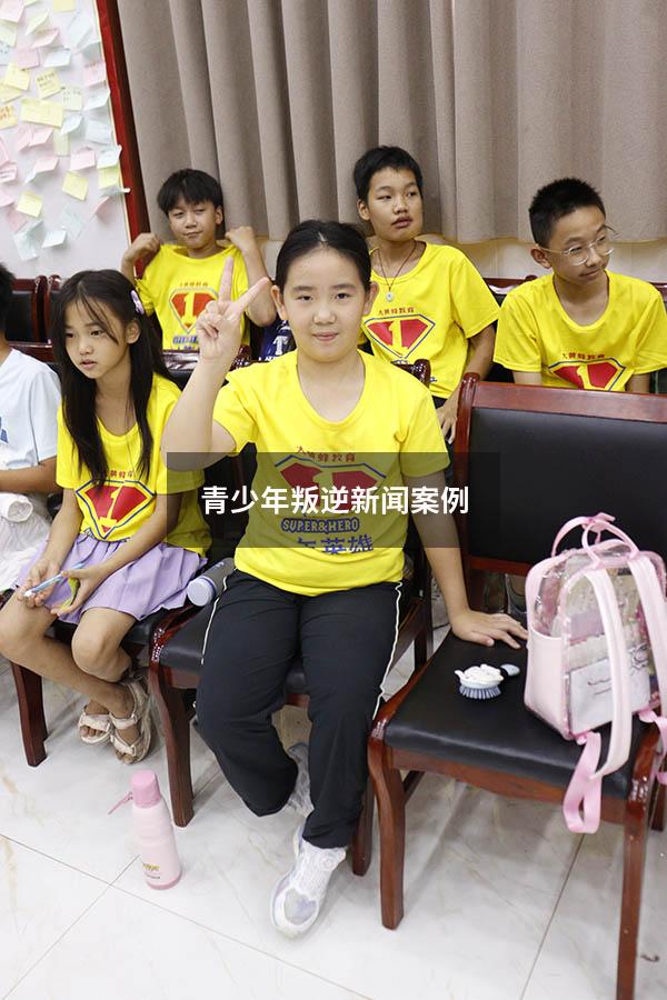 青少年叛逆新闻案例（青少年叛逆新闻案例分析）