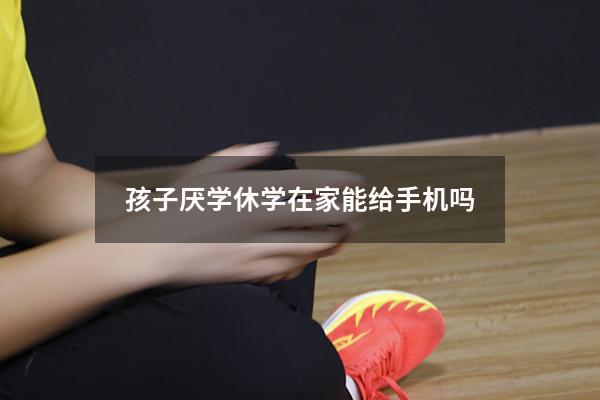 孩子厌学休学在家能给手机吗（孩子厌学休学在家能干啥）