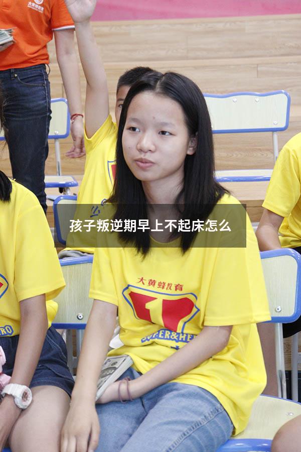 孩子叛逆期早上不起床怎么（孩子叛逆期早上不起床怎么和孩子沟通）