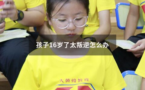 孩子16岁了太叛逆怎么办（孩子16岁了太叛逆怎么办呢）