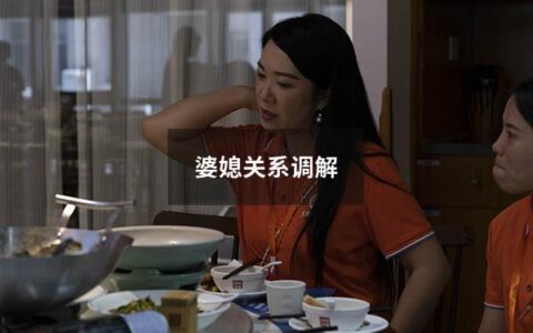 婆媳关系调解（婆媳关系调解案例）