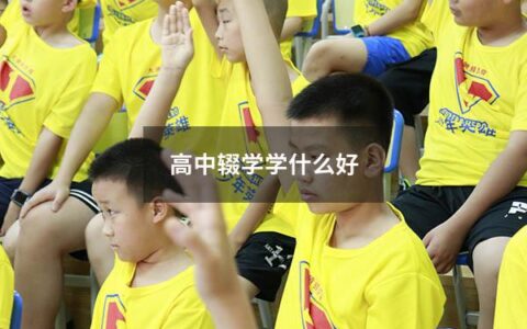 高中辍学学什么好（高中辍学学什么技术好）