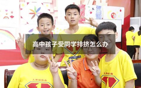 高中孩子受同学排挤怎么办