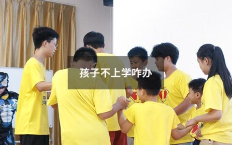 孩子不上学咋办