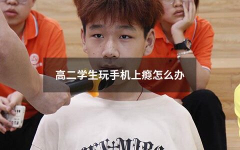 高二学生玩手机上瘾怎么办