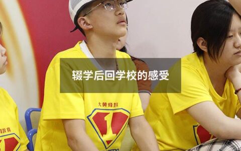 辍学后回学校的感受（孩子辍学在家家长应该怎么办）