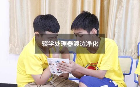 辍学处理器渡边净化