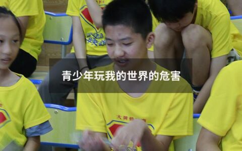 青少年玩我的世界的危害