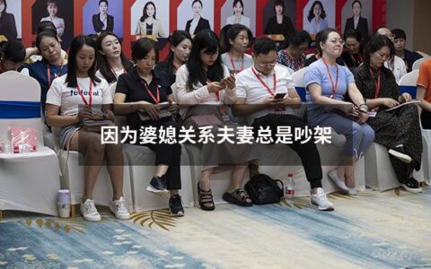 因为婆媳关系夫妻总是吵架（夫妻因为婆媳关系离婚）