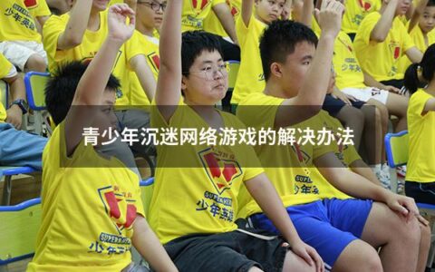 青少年沉迷网络游戏的解决办法