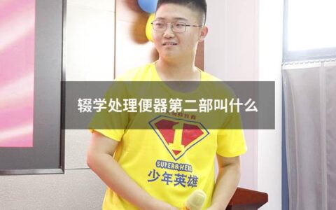 辍学处理便器第二部叫什么