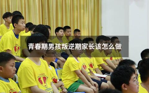 青春期男孩叛逆期家长该怎么做