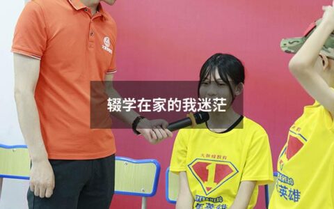 辍学在家的我迷茫（辍学在家的孩子怎么办）