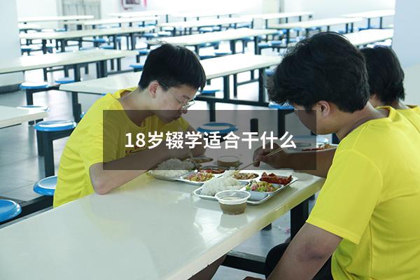 18岁辍学适合干什么(16岁辍学适合学什么技术) - 大黄蜂教育