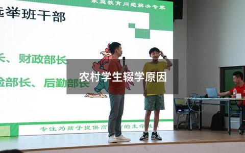 农村学生辍学原因（15岁不上学干什么赚钱）