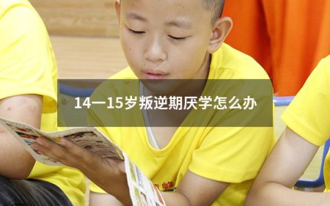 14一15岁叛逆期厌学怎么办
