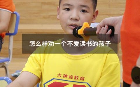 怎么样劝一个不爱读书的孩子