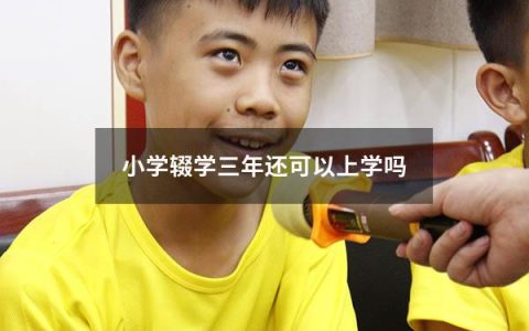 小学辍学三年还可以上学吗（小学六年级就辍学不读了）