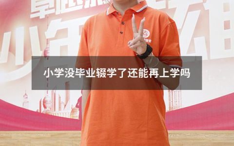 小学没毕业辍学了还能再上学吗（小学为什么不发毕业证）