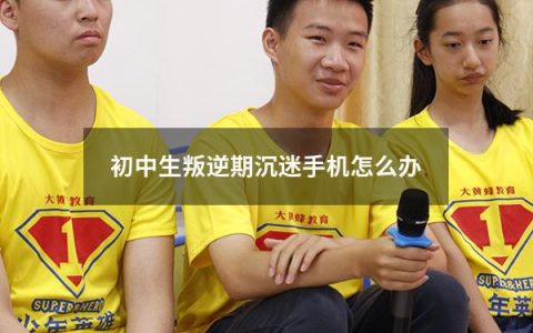 初中生叛逆期沉迷手机怎么办