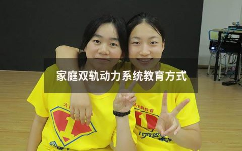 家庭双轨动力系统教育方式