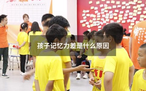 孩子记忆力差是什么原因