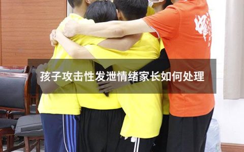 孩子攻击性发泄情绪家长如何处理