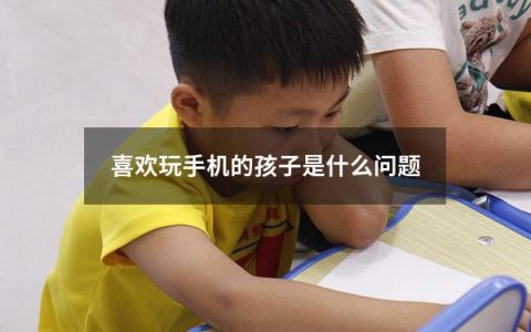 喜欢玩手机的孩子是什么问题