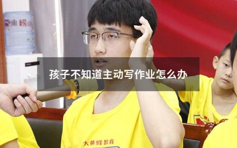 孩子不知道主动写作业怎么办