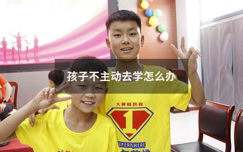孩子不主动去学怎么办