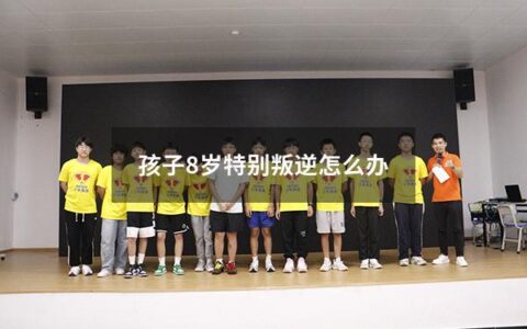 孩子8岁特别叛逆怎么办