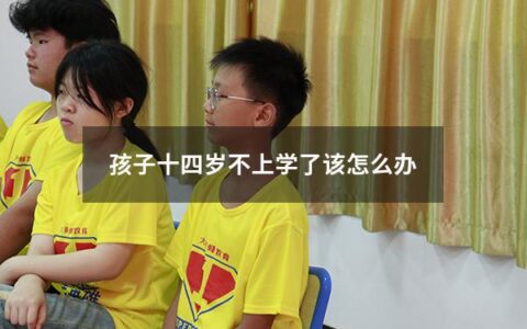 孩子十四岁不上学了该怎么办