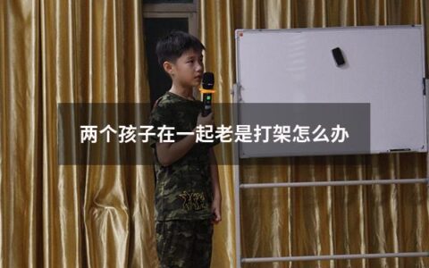 两个孩子在一起老是打架怎么办